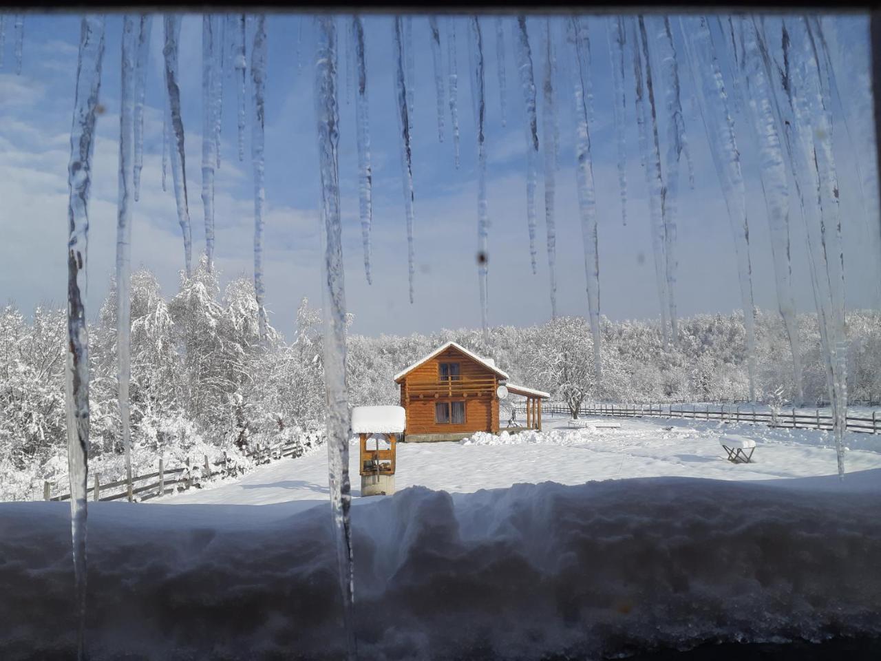 Musketeers Cabin Porumbacu de Sus Eksteriør bilde