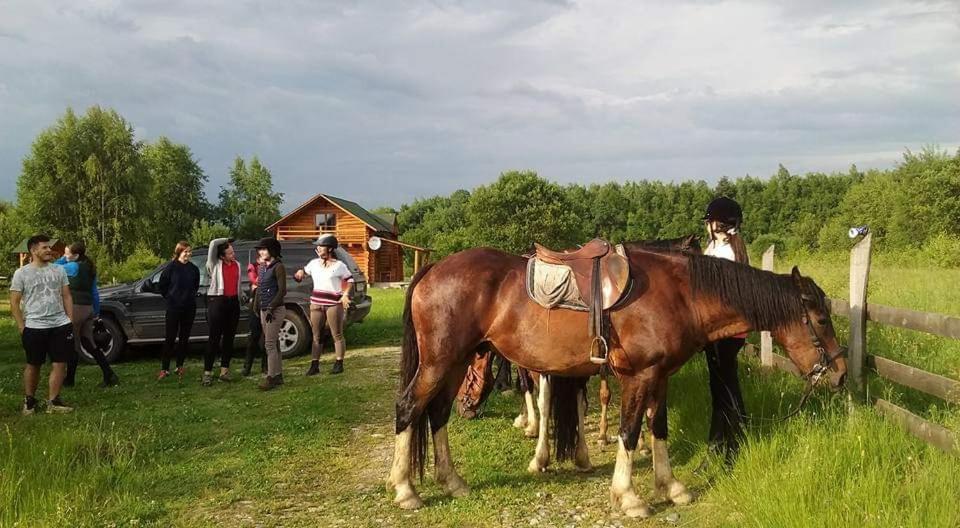 Musketeers Cabin Porumbacu de Sus Eksteriør bilde